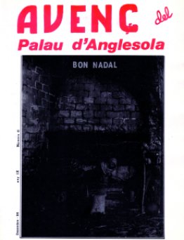 Avenç del Palau d'Anglesola - núm. 40