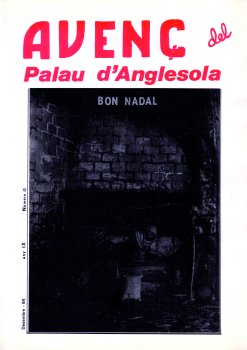 Avenç del Palau d'Anglesola - núm. 40