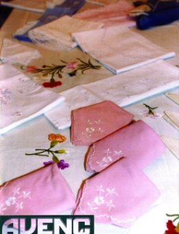 Avenç del Palau d'Anglesola - núm. 95