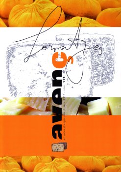 Avenç del Palau d'Anglesola - núm. 119