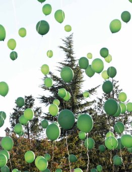 Avenç del Palau d'Anglesola - núm. 130