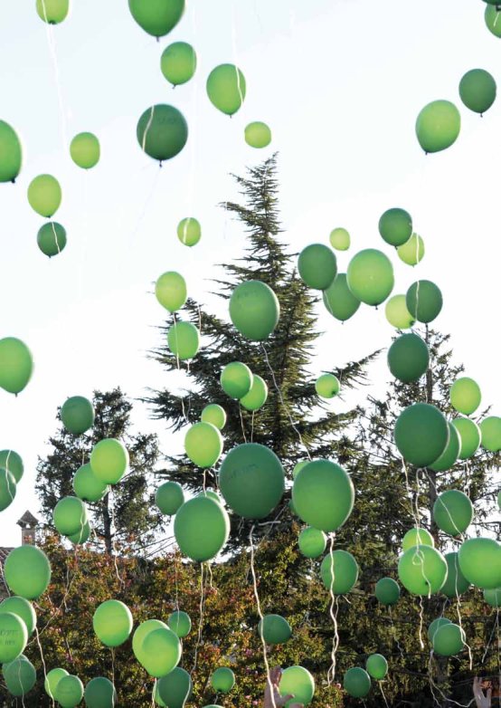 Avenç del Palau d'Anglesola - núm. 130