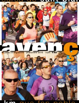 Avenç del Palau d'Anglesola - núm. 132