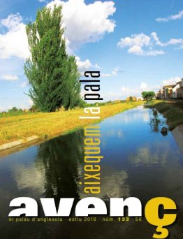 Avenç del Palau d'Anglesola - núm. 133