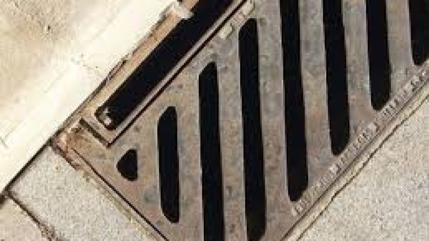 OLORS CÍTRIQUES EN LA XARXA DE CLAVEGUERAM