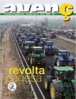 Avenç del Palau d'Anglesola - núm. 163