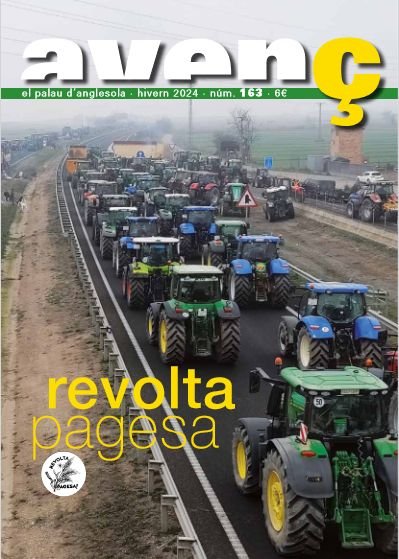 Avenç del Palau d'Anglesola - núm. 163