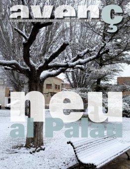 Avenç del Palau d'Anglesola - núm. 171