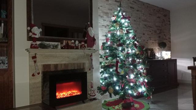 L'Arnau i el Roc són d'arbre de Nadal i de pessebre!