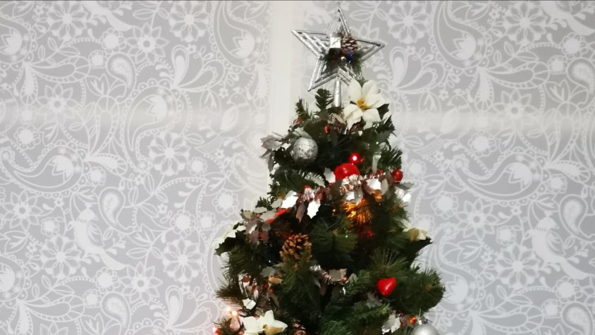 L'Helena Huguet és d'arbre de Nadal!