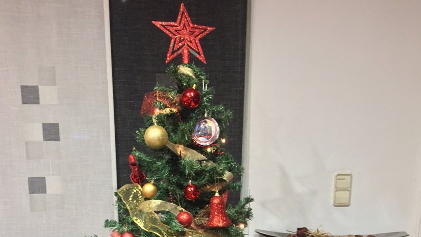 El Pau Roca i la seva mare, la Meritxell, són d'arbre de Nadal!