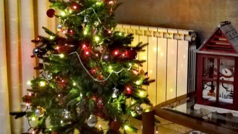 A casa de la Maricel són de pessebre i d'arbre de Nadal!