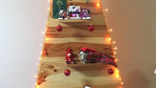 La família  Camps - Mir és d'arbre de Nadal!