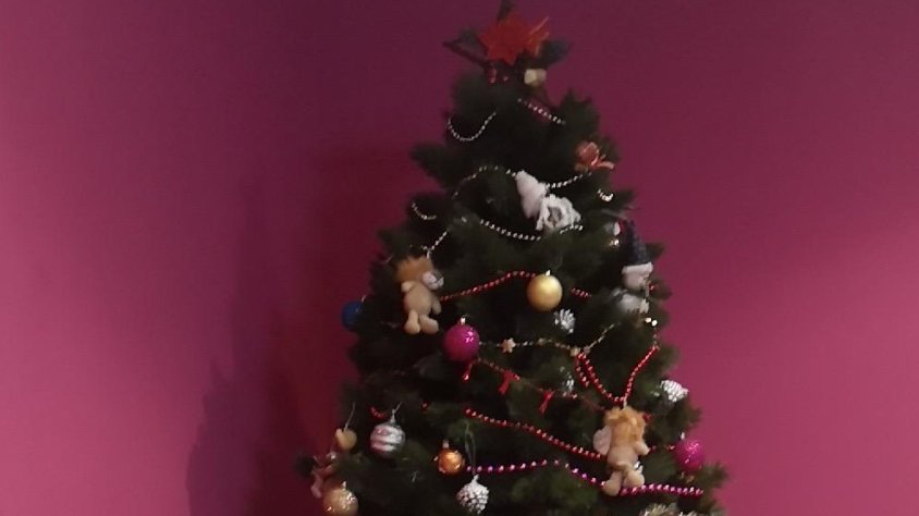 El Miguel Ángel és d'arbre de Nadal!