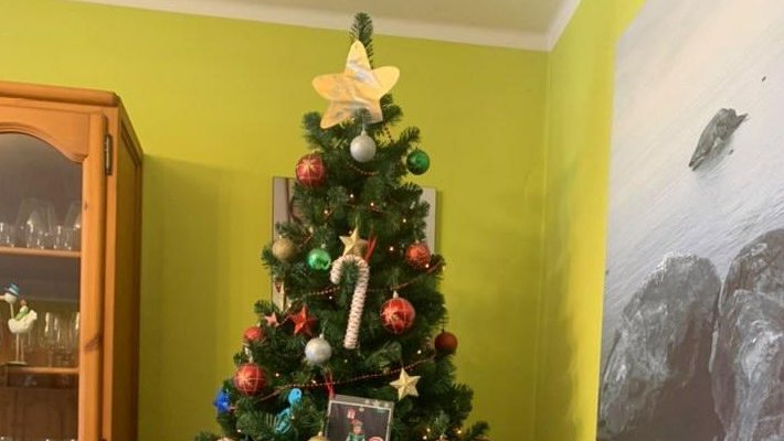 El Marc i la Valentina són d'arbre de Nadal!