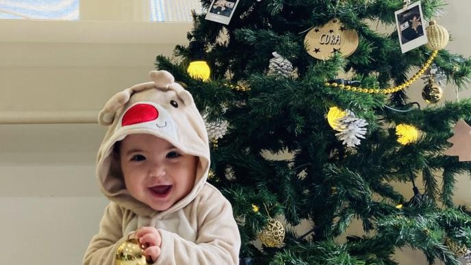 La Cora és d'arbre de Nadal!