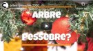 Arbre de Nadal o Pessebre?