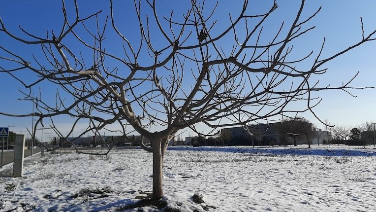 Imatges de postal després de la nevada