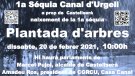 El dissabte, 20 de febrer, plantada d'arbres