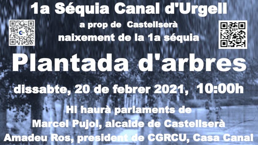 El dissabte, 20 de febrer, plantada d'arbres
