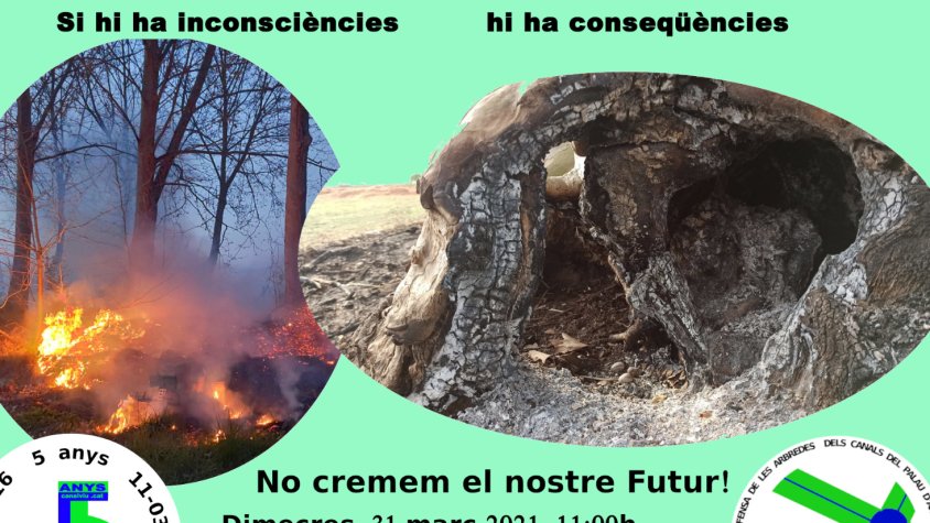 La Banqueta del Palau organitza una Caminada: No cremem el nostre futur!