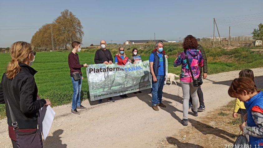 Caminada en defensa de les Banquetes arbrades: "Creant consciències!"