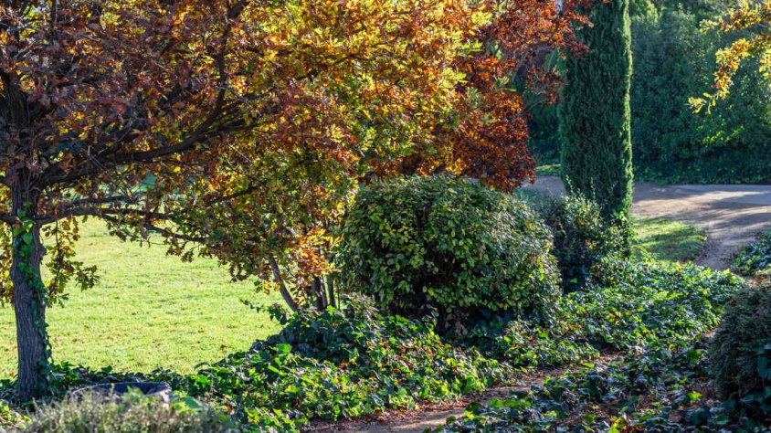 El Palau d'Anglesola s'adhereix a Viles Florides