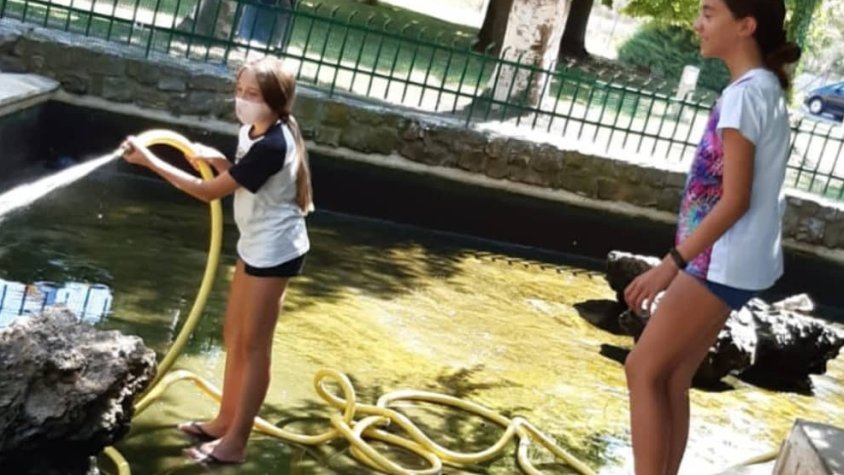 Retiren 12 tortugues de la Plaça Catalunya del Palau d'Anglesola