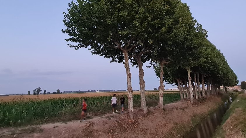 Festa major Estiu 2021: cursa - caminada