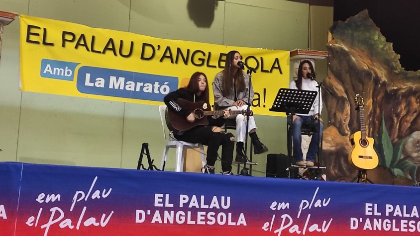 Activitats solidàries per la Marató TV3 al Palau d'Anglesola