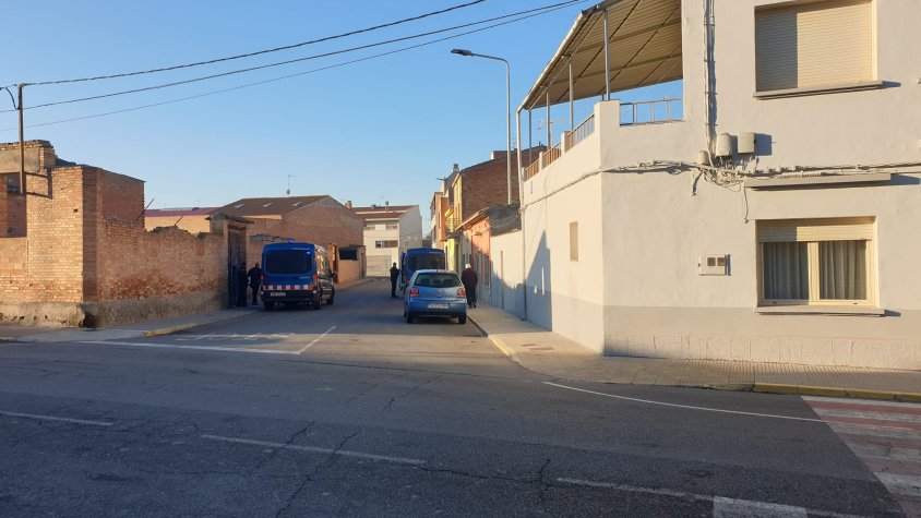 Els Mossos troben una plantació de marihuana al Palau d'Anglesola 