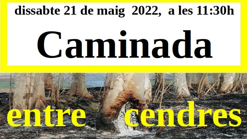 Caminada entre cendres: 3a Séquia Canal d'Urgell Bellvís - El Palau d'Anglesola