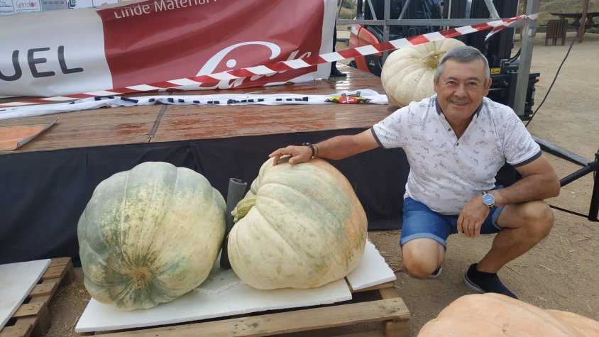 El Ramon Nabau participa en el concurs de carabasses gegants