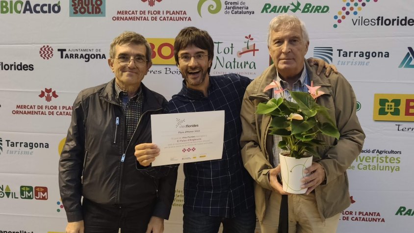Nou reconeixement als jardins del Palau d'Anglesola