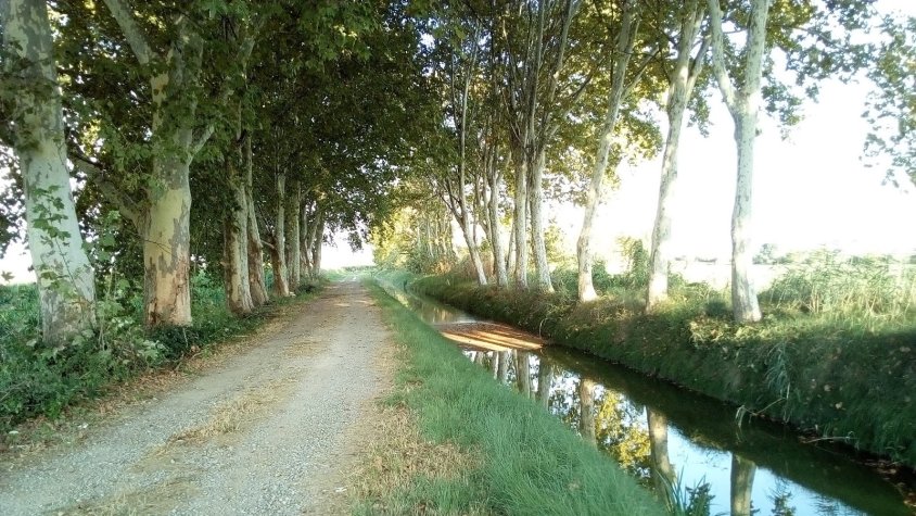 CANAL VIU rebutja el cobriment amb plaques solars els Canals d'Urgell