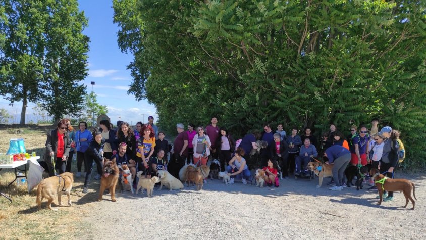 La 1a ruta canina al Palau d'Anglesola reuneix vint mascotes