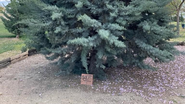 Ets del 63? Apunta't a la celebració dels 60 anys!