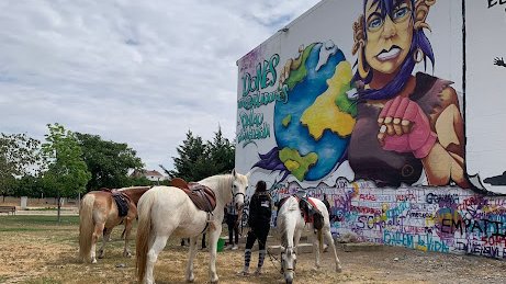 Els alumnes de cicle formatiu de tècnic en activitats eqüestres fan parada al Palau d'Anglesola