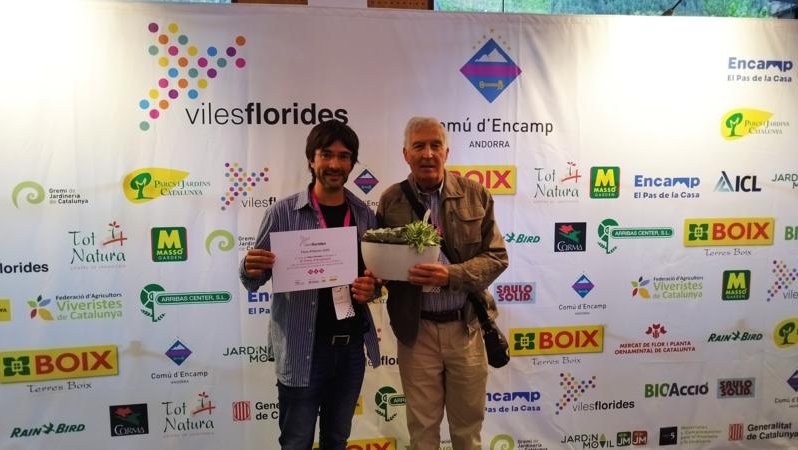 El Palau d'Anglesola, Vila Florida