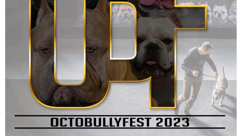 El dissabte 7 d'octubre exposició i concurs internacional de bellesa canina dels gossos American Bully