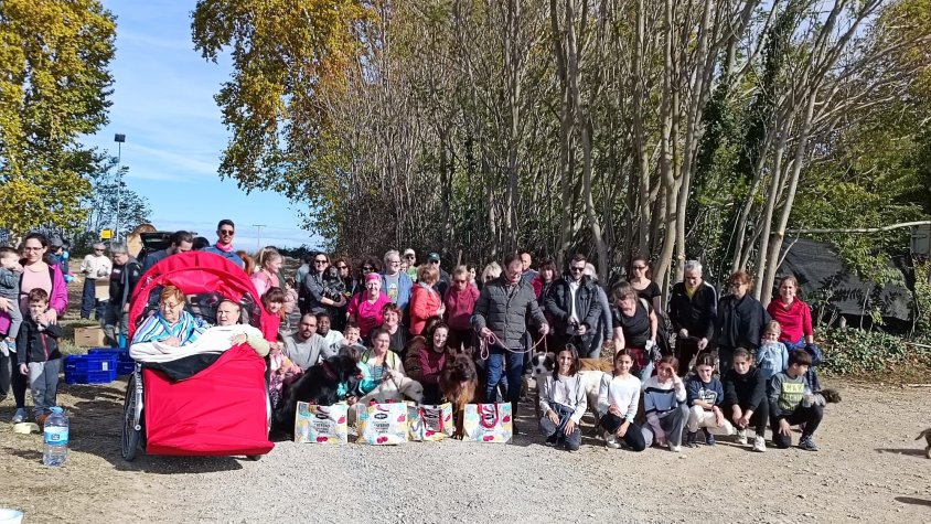 Inauguració de colònies felines controlades al Palau d'Anglesola