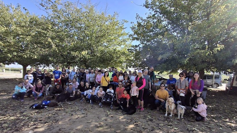 Avui ha tingut lloc la 3a Caninada del Palau d'Anglesola