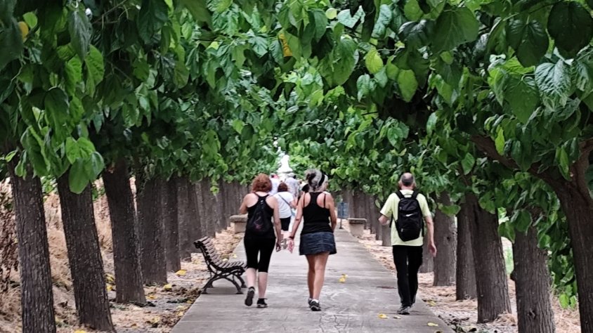 Nits d'estiu: caminada a la fresca, entrepà i música en directe