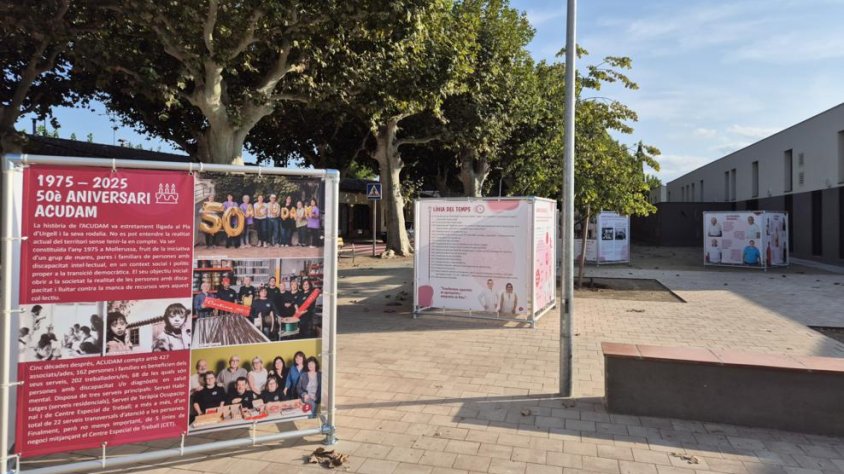 Exposició 50 anys de l'ACUDAM al Palau d'Anglesola