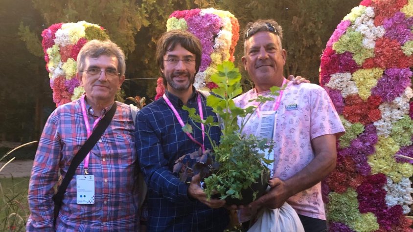 El Palau d'Anglesola renova les tres flors d'honor