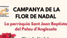 Campanya de la Flor de Nadal