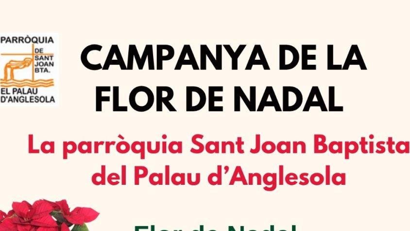 Campanya de la Flor de Nadal