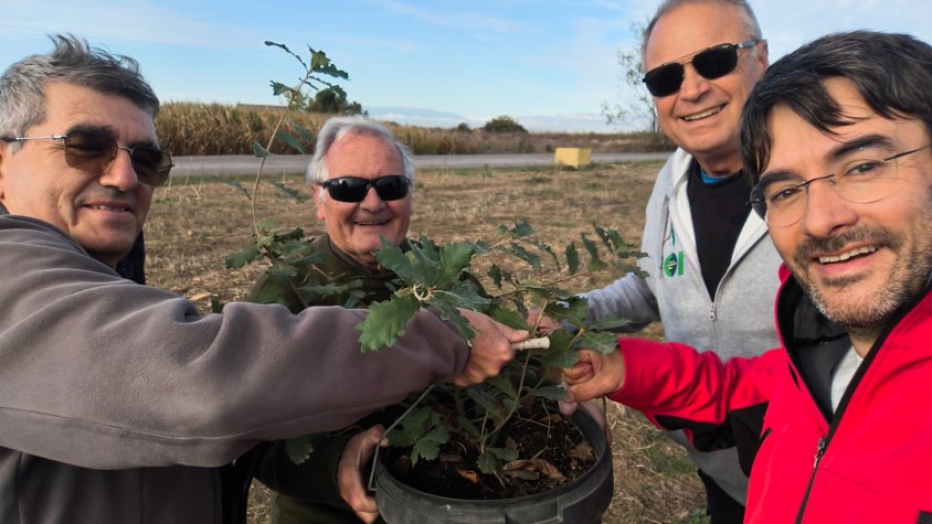 Voluntaris de la Banqueta del Palau d'Anglesola planten nous arbres